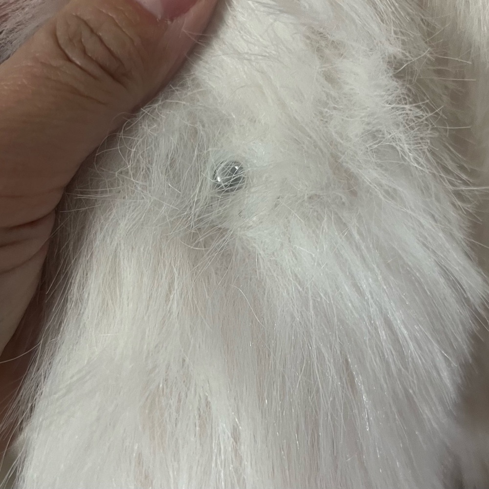 Abercrombie & Fitch Cream faux fur coat - Picture 7 of 10
